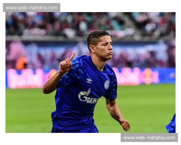 跨越山海的绿茵对话：广州富力与沙尔克04的足球情缘